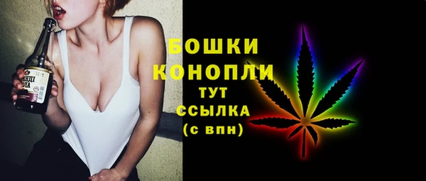 дживик Навашино