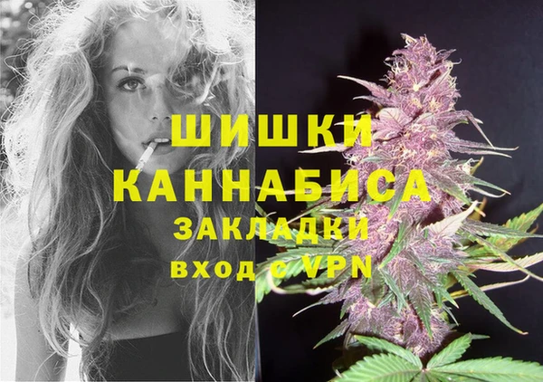 стаф Надым