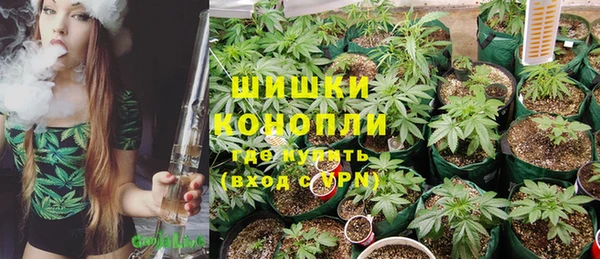 шишки Нефтекумск