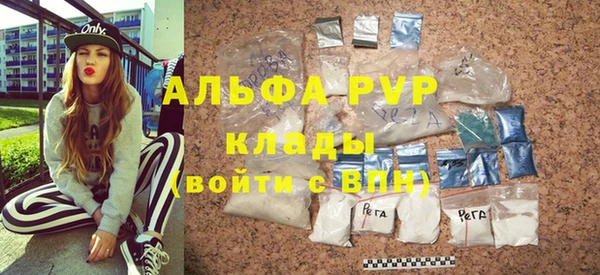 стаф Надым