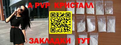 прущие грибы Гатчина