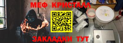 прущие грибы Гатчина