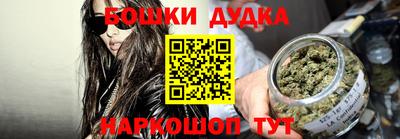 прущие грибы Гатчина