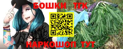 прущие грибы Гатчина