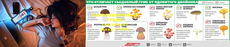 Галлюциногенные грибы мухоморы  Кириши 