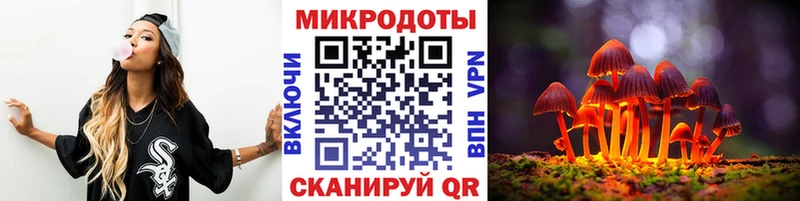 Псилоцибиновые грибы Psilocybine cubensis Кириши